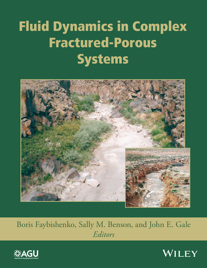 Benson, Sally M. - Fluid Dynamics in Complex Fractured-Porous Systems, e-kirja