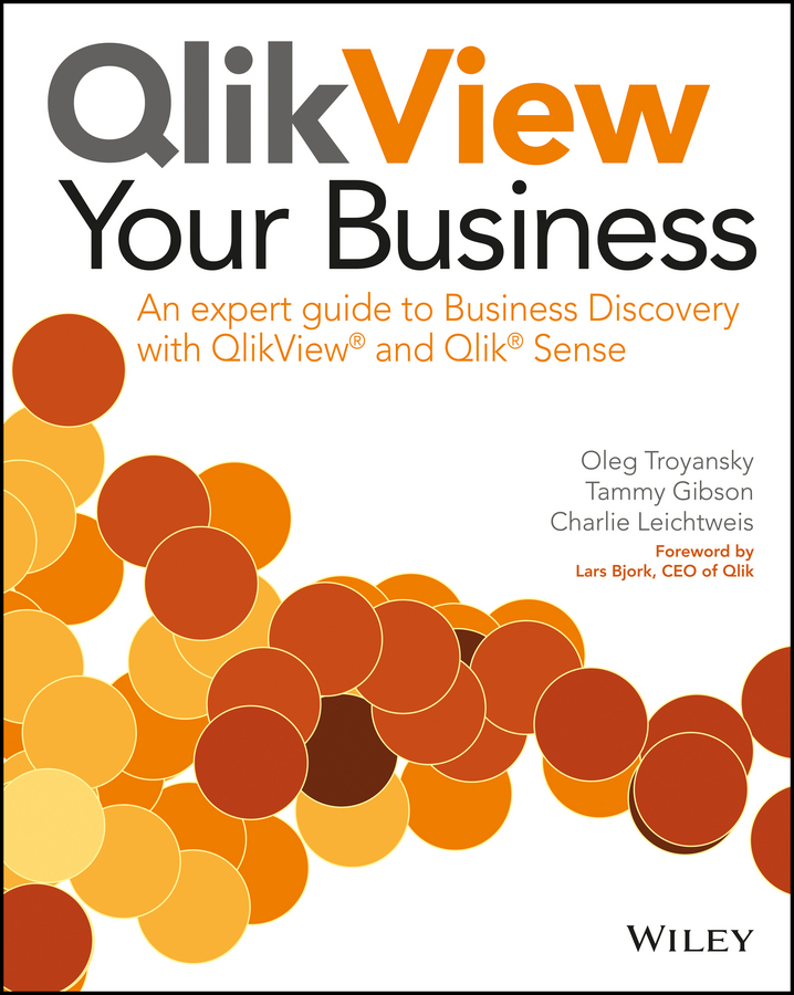 Bjork, Lars - QlikView Your Business: An Expert Guide to Business Discovery with QlikView and Qlik Sense, e-kirja