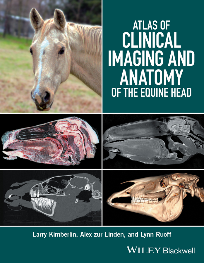 Kimberlin, Larry - Atlas of Clinical Imaging and Anatomy of the Equine Head, ebook