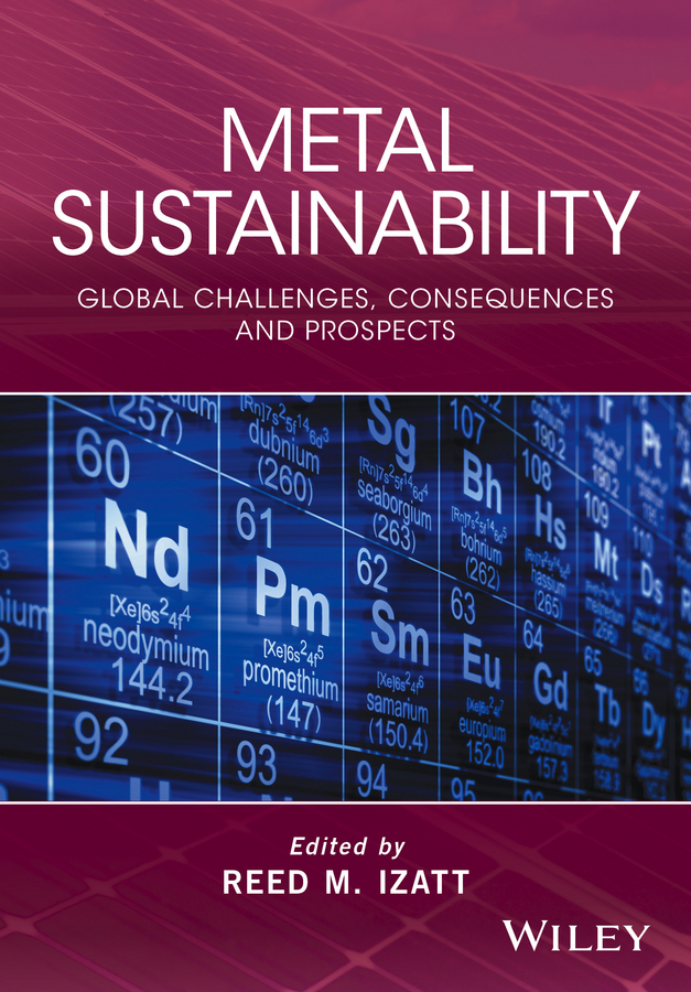 Izatt, Reed M. - Metal Sustainability: Global Challenges, Consequences, and Prospects, e-bok