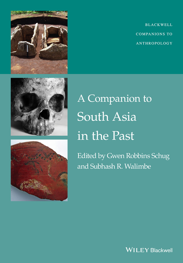 Schug, Gwen Robbins - A Companion to South Asia in the Past, e-kirja