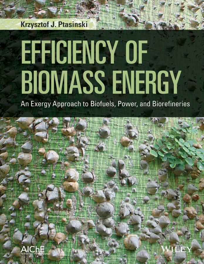Ptasinski, Krzysztof J. - Efficiency of Biomass Energy: An Exergy Approach to Biofuels, Power, and Biorefineries, e-bok