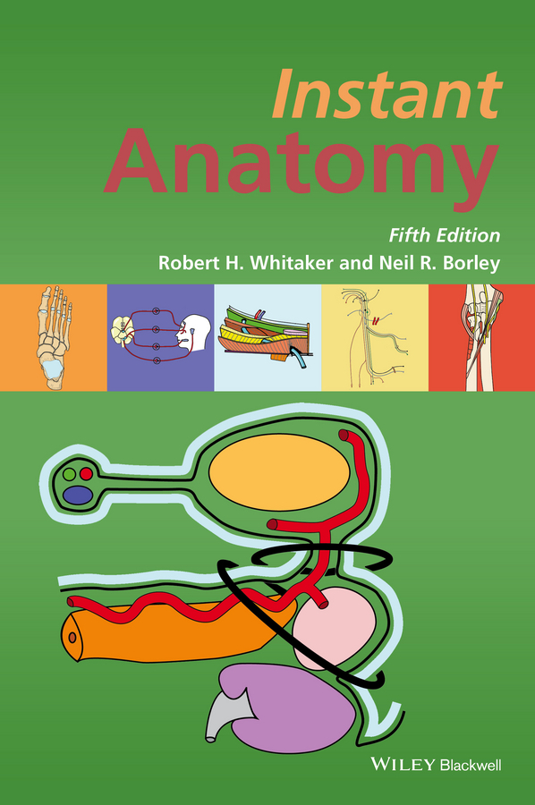 Borley, Neil R. - Instant Anatomy, ebook
