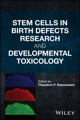 Rasmussen, Theodore P. - Stem Cells in Birth Defects Research and Developmental Toxicology, ebook