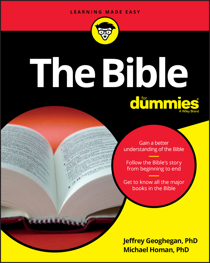 Geoghegan, Jeffrey - The Bible For Dummies, e-kirja