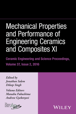 Salem, Jonathan - Mechanical Properties and Performance of Engineering Ceramics and Composites XI: Ceramic Engineering and Science Proceedings Volume 37, Issue 2, ebook