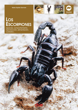 Germain, Marie-Sophie - Los escorpiones, ebook