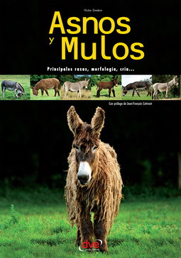 Siméon, Victor - Asnos y mulos, ebook