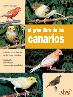 Ravazzi, Gianni - El gran libro de los canarios, ebook