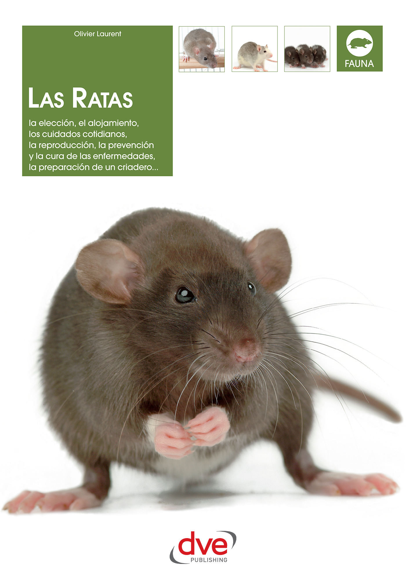 Laurent, Olivier - Las ratas: La elección, el alojamiento, los cuidados cotidianos, la reproducción, la prevención y la cura de las enfermedades, la preparación de un criadero..., e-bok