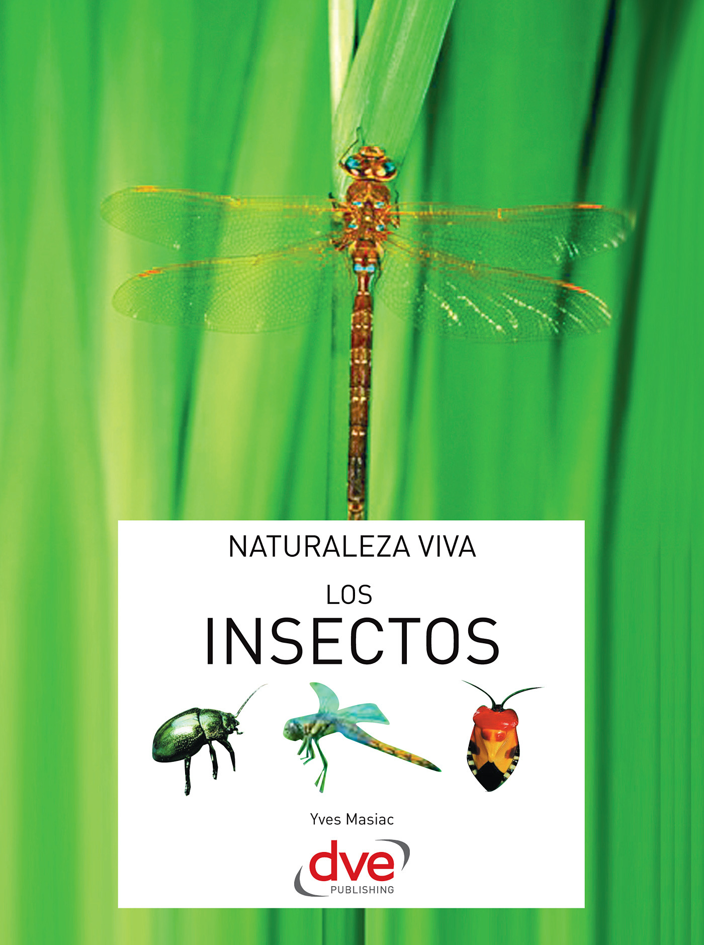 Masiac, Yves - Los insectos, e-bok