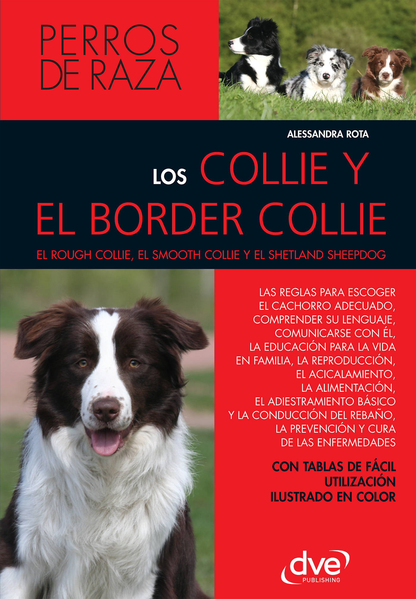 Rota, Alessandra - Los collie y el border collie, ebook