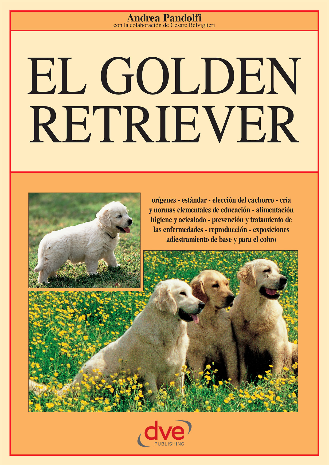 Pandolfi, Andrea - El golden retriever: Orígenes - estándar - elección del cachorro - cría y normas elementales de educación - alimentación higiene, ebook