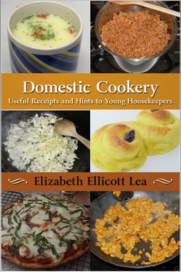 Lea, Elizabeth Ellicott - Domestic Cookery, ebook