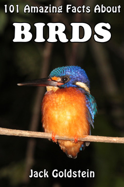 Goldstein, Jack - 101 Amazing Facts About Birds, e-bok