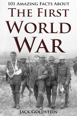 Goldstein, Jack - 101 Amazing Facts about The First World War, e-kirja