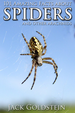 Goldstein, Jack - 101 Amazing Facts about Spiders, e-kirja