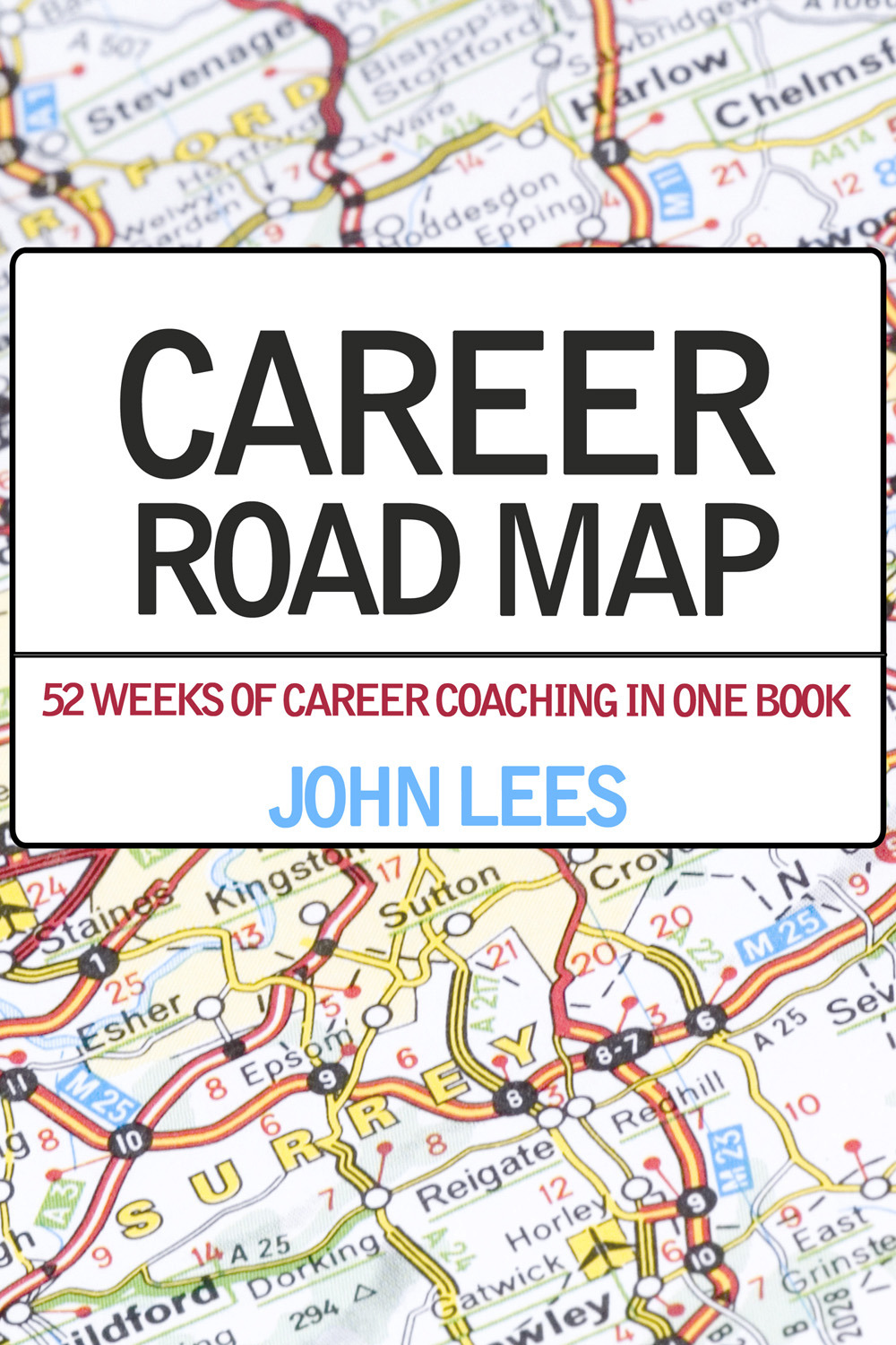 Lees, John - Career Road Map, e-kirja