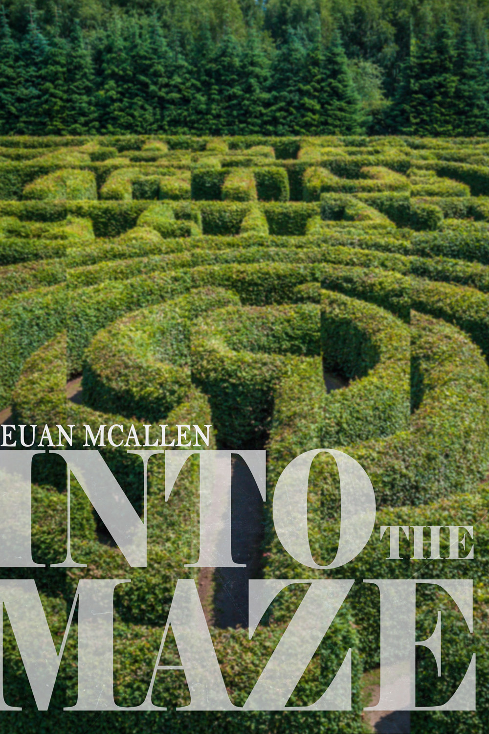 McAllen, Euan - Into The Maze, ebook