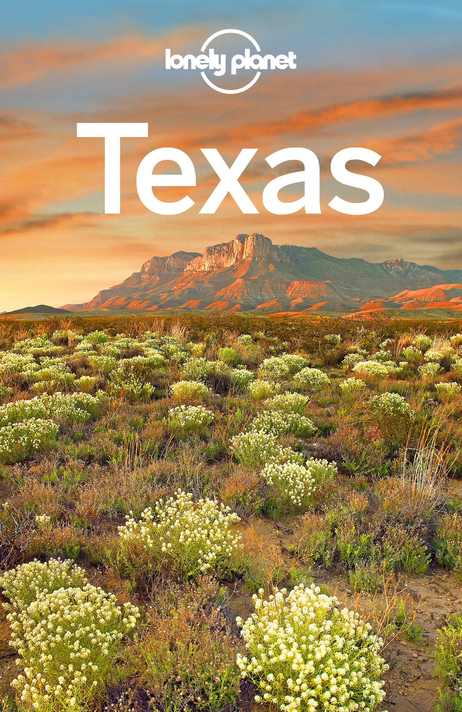Balfour, Amy C - Lonely Planet Texas, e-bok