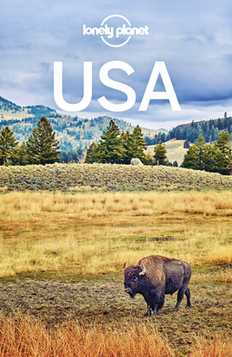 Armstrong, Kate - Lonely Planet USA, e-bok