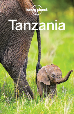 Bartlett, Ray - Lonely Planet Tanzania, ebook