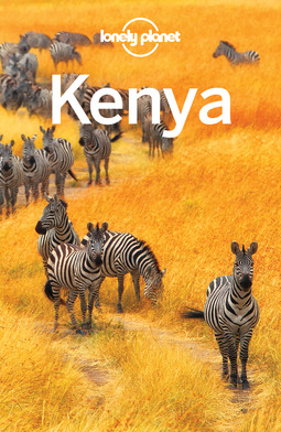 Duthie, Shawn - Lonely Planet Kenya, e-kirja