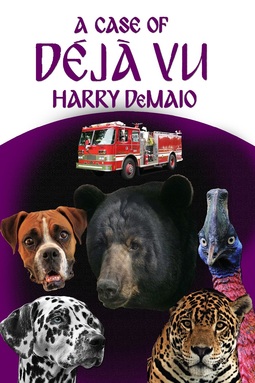DeMaio, Harry - A Case of Déjà Vu, e-bok