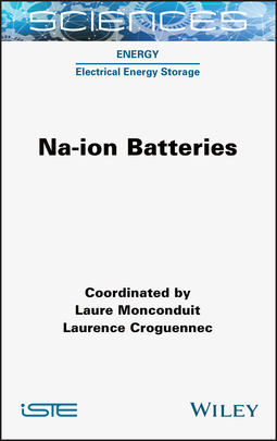 Croguennec, Laurence - Na-ion Batteries, e-kirja