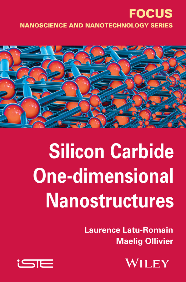 Latu-Romain, Laurence - Silicon Carbide One-dimensional Nanostructures, e-bok