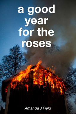 Field, Amanda J - A Good Year for the Roses, e-kirja