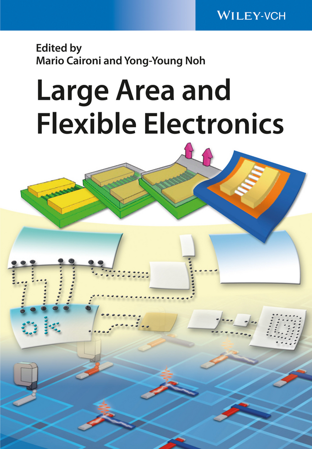 Caironi, Mario - Large Area and Flexible Electronics, ebook