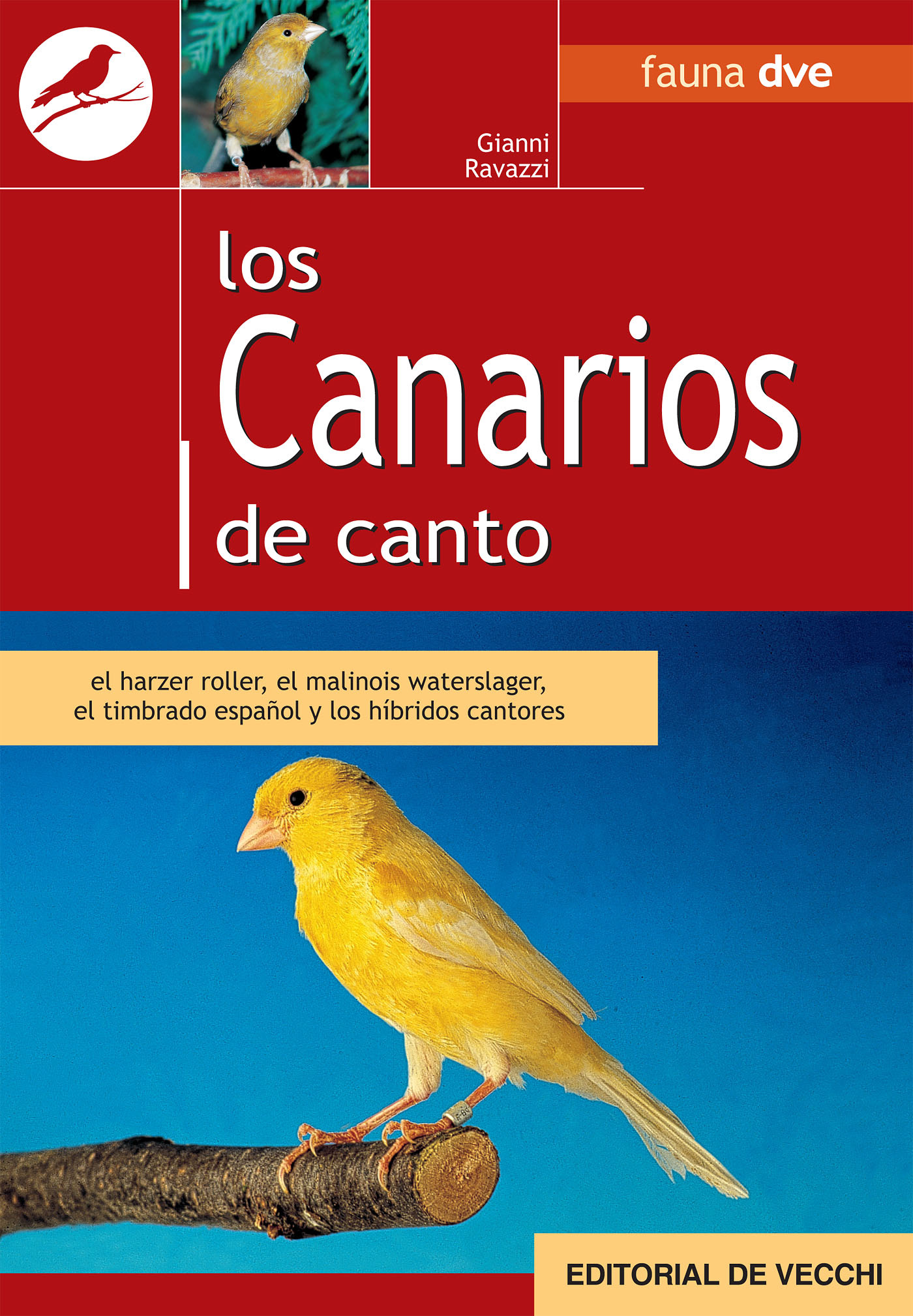 Ravazzi, Gianni - Los canarios de canto, ebook