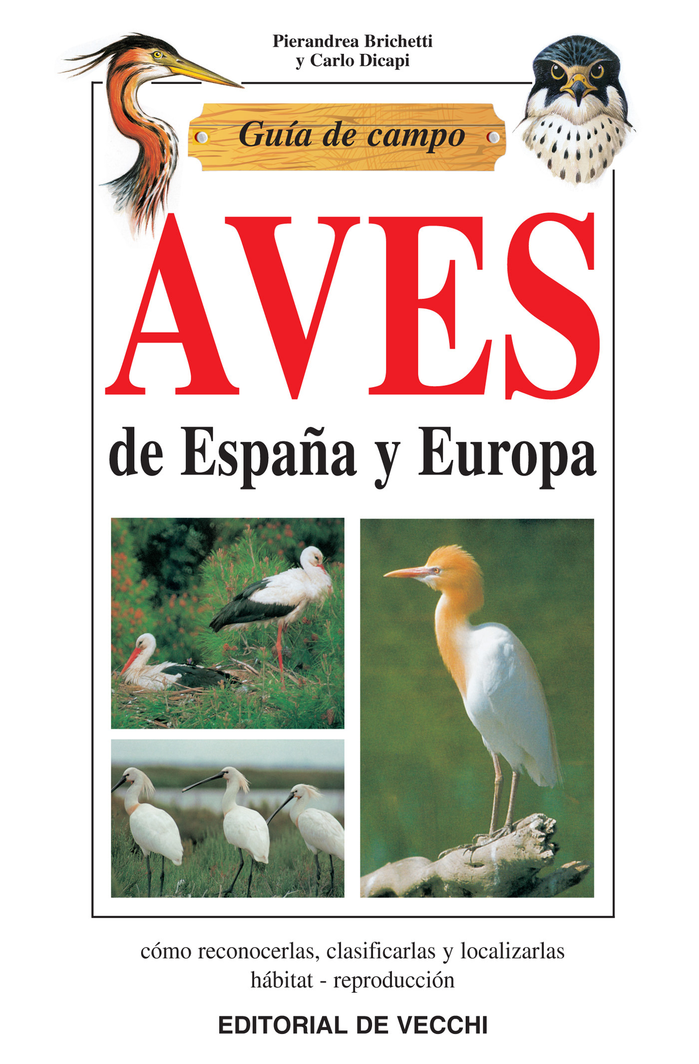Brichetti, Pierandrea - Guía de campo de aves de España y Europa, e-kirja