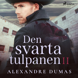 Dumas, Alexandre - Den svarta tulpanen II, äänikirja