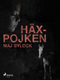 Bylock, Maj - Häxpojken, ebook