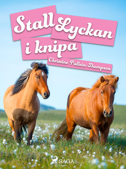 Thompson, Christine Pullein - Stall Lyckan i knipa, ebook
