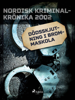  - Dödsskjutning i Brommaskola, ebook