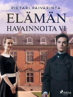 Päivärinta, Pietari - Elämän havainnoita VI, e-bok