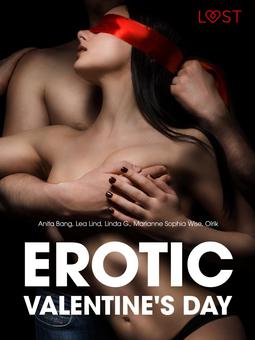 Wise, Marianne Sophia - Erotic Valentine's Day - 6 eroottista novellia, e-kirja