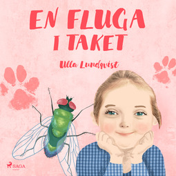 Lundqvist, Ulla - En fluga i taket, audiobook