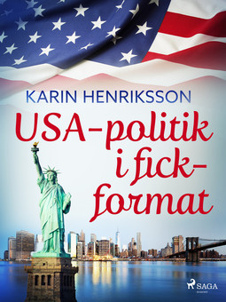 Henriksson, Karin - USA-politik i fickformat, ebook