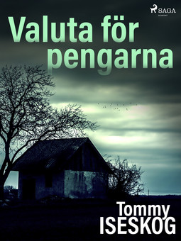 Iseskog, Tommy - Valuta för pengarna, ebook