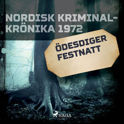 Karlsson, Sebastian - Ödesdiger festnatt, audiobook