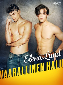 Lund, Elena - Vaarallinen halu - eroottinen novelli, ebook