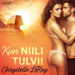 Leroy, Chrystelle - Kun Niili tulvii - eroottinen novelli, audiobook