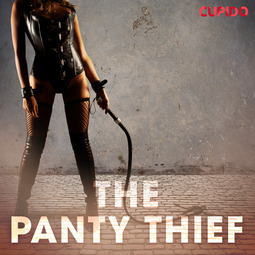 Anderson, Alessandra - The Panty Thief, audiobook