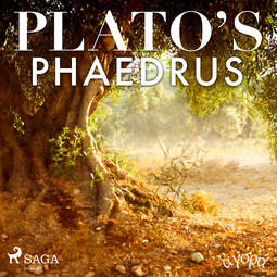Plato - Plato's Phaedrus, audiobook