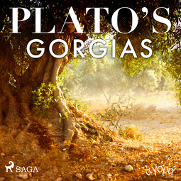 Plato - Plato's Gorgias, audiobook