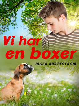 Brattström, Inger - Vi har en boxer, e-bok